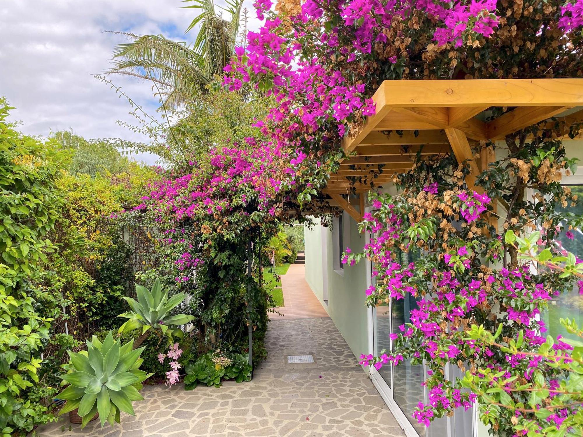 Terra Vivaz - Ribeira Cottage هيبيرا غْريندي المظهر الخارجي الصورة